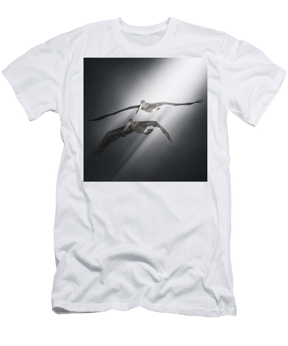 Alameda T-Shirt featuring the photograph We Come in Pairs and We come in Peace by Mike Gifford