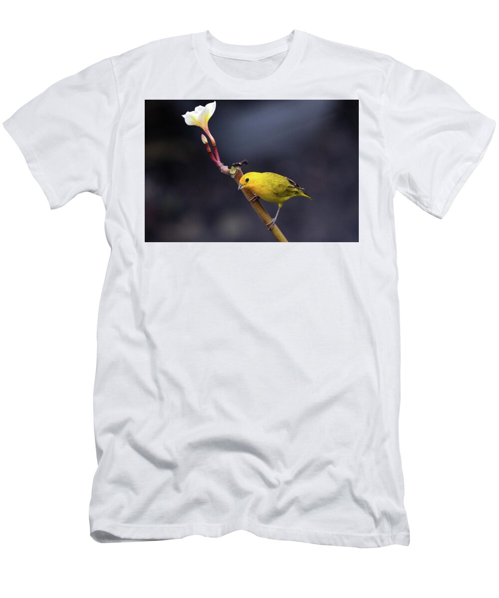 Bird T-Shirt featuring the photograph What Was That? by Reefyarea