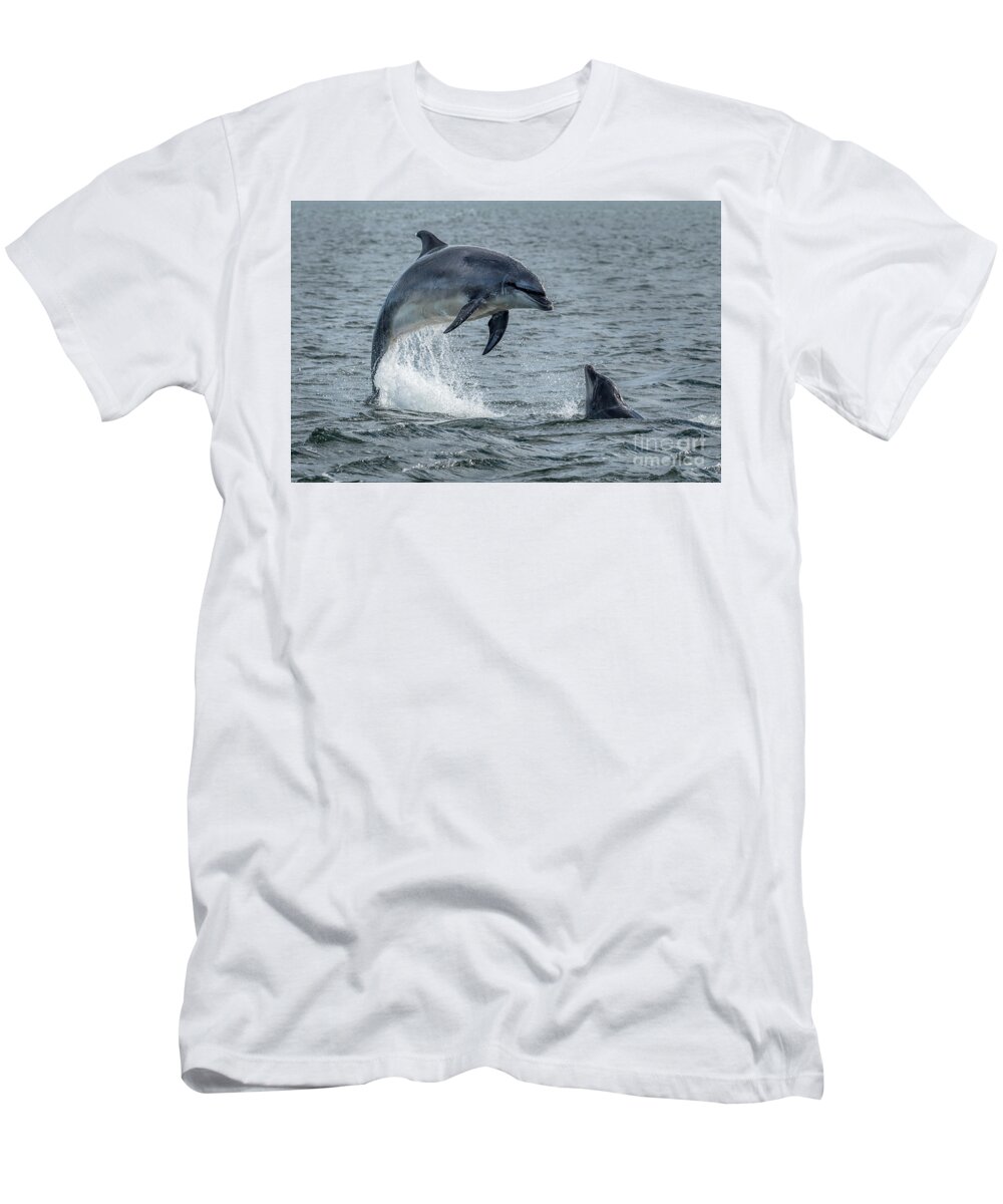 Animal T-Shirt featuring the photograph Wild Bottlenose Dolphins At Inverness Moray Firth In Scotland by Andreas Berthold