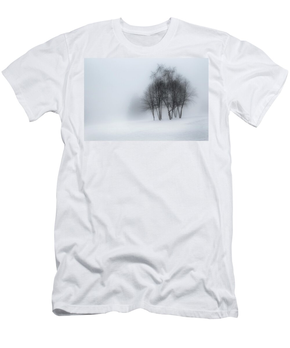 Winter T-Shirt featuring the photograph Winter Dream by Bill Wakeley