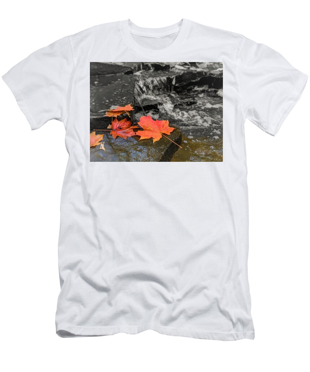  T-Shirt featuring the photograph Fall Leaves by Brad Nellis