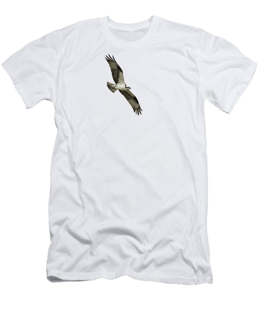 Osprey T-Shirt featuring the photograph Isolated Osprey 2021-1 by Thomas Young