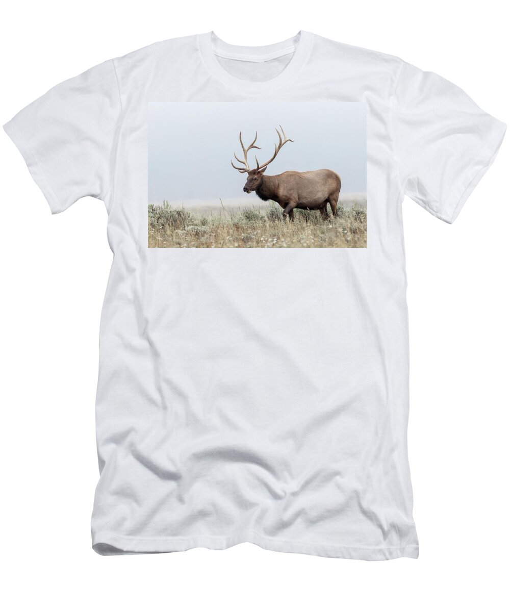 Elk T-Shirt featuring the photograph Mr. Bull #1 by Ronnie And Frances Howard