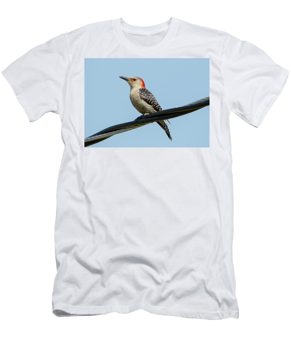 Woodpecker T-Shirt featuring the photograph Red-Bellied Woodpecker #1 by Holden The Moment