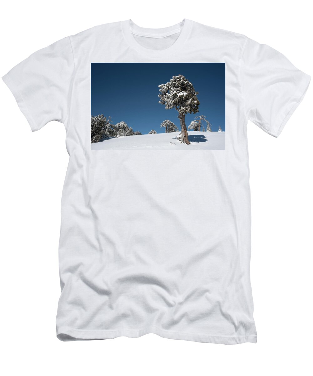 Single Tree T-Shirt featuring the photograph Winter landscape in snowy mountains. Frozen snowy lonely fir trees against blue sky. by Michalakis Ppalis