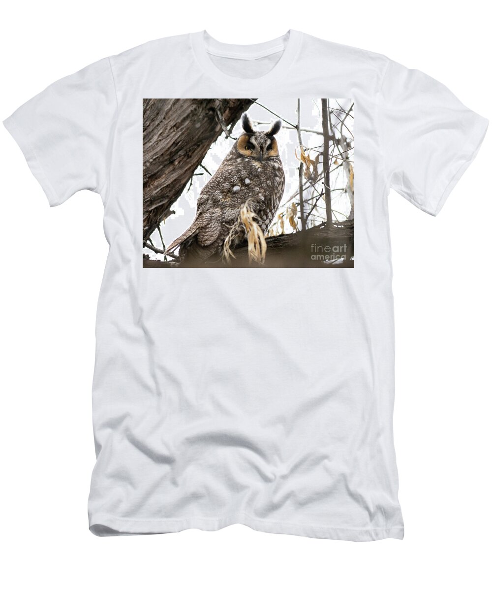 Bird T-Shirt featuring the photograph Long-eared Owl #2 by Dennis Hammer