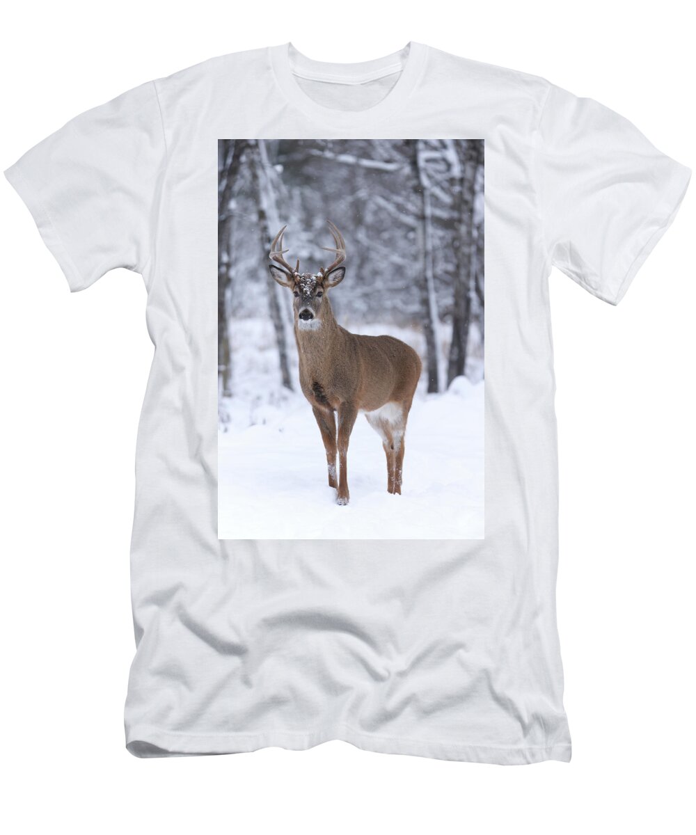 Whitetail T-Shirt featuring the photograph Whitetail Buck #58 by Brook Burling