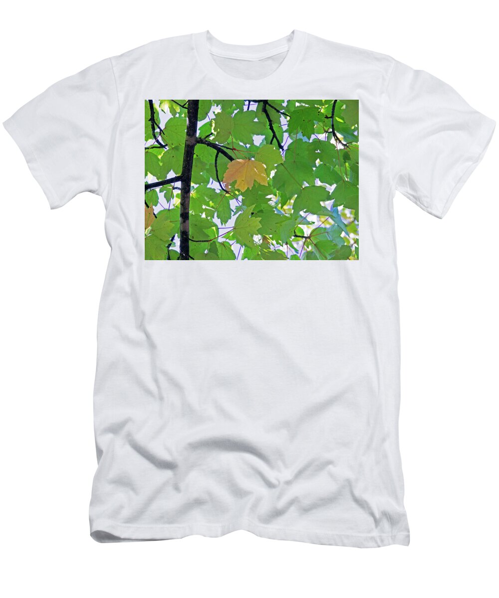 Background T-Shirt featuring the photograph A Canopy Of Leaves by David Desautel