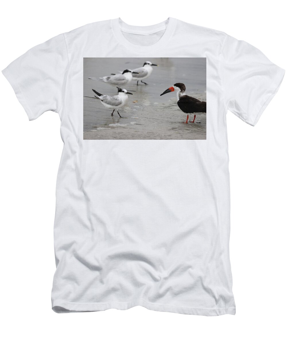 Terns T-Shirt featuring the photograph A Friendly Encounter by Mingming Jiang