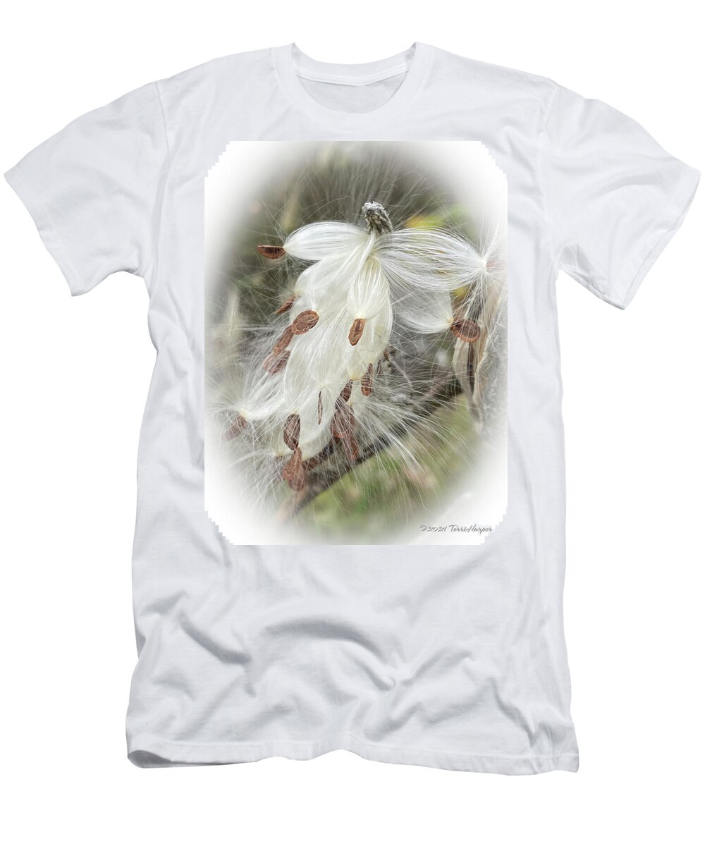 Milkweed T-Shirt featuring the photograph A Horse Named Milkweed by Terri Harper