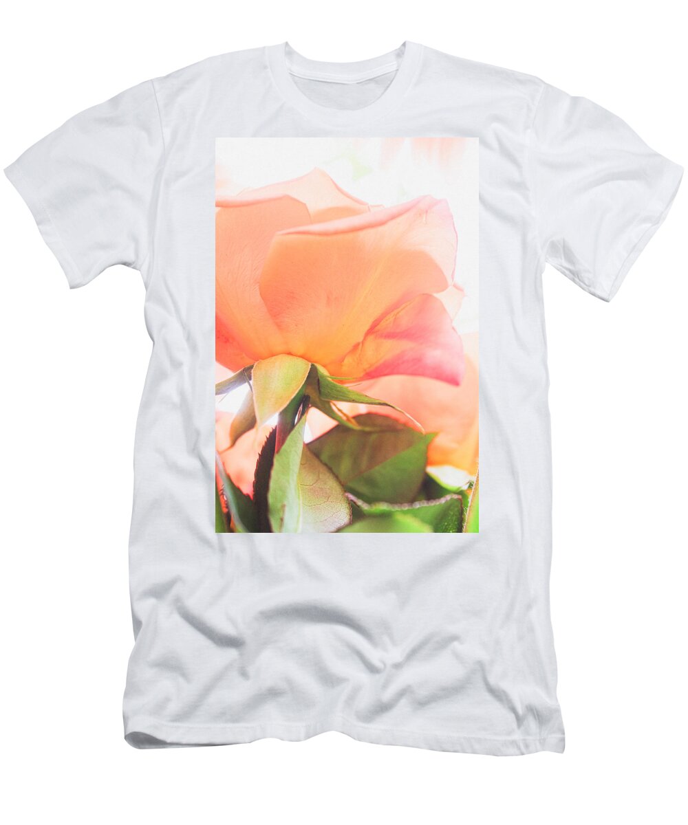 Rosa Hybrida T-Shirt featuring the photograph A Rose Made of Light by W Craig Photography