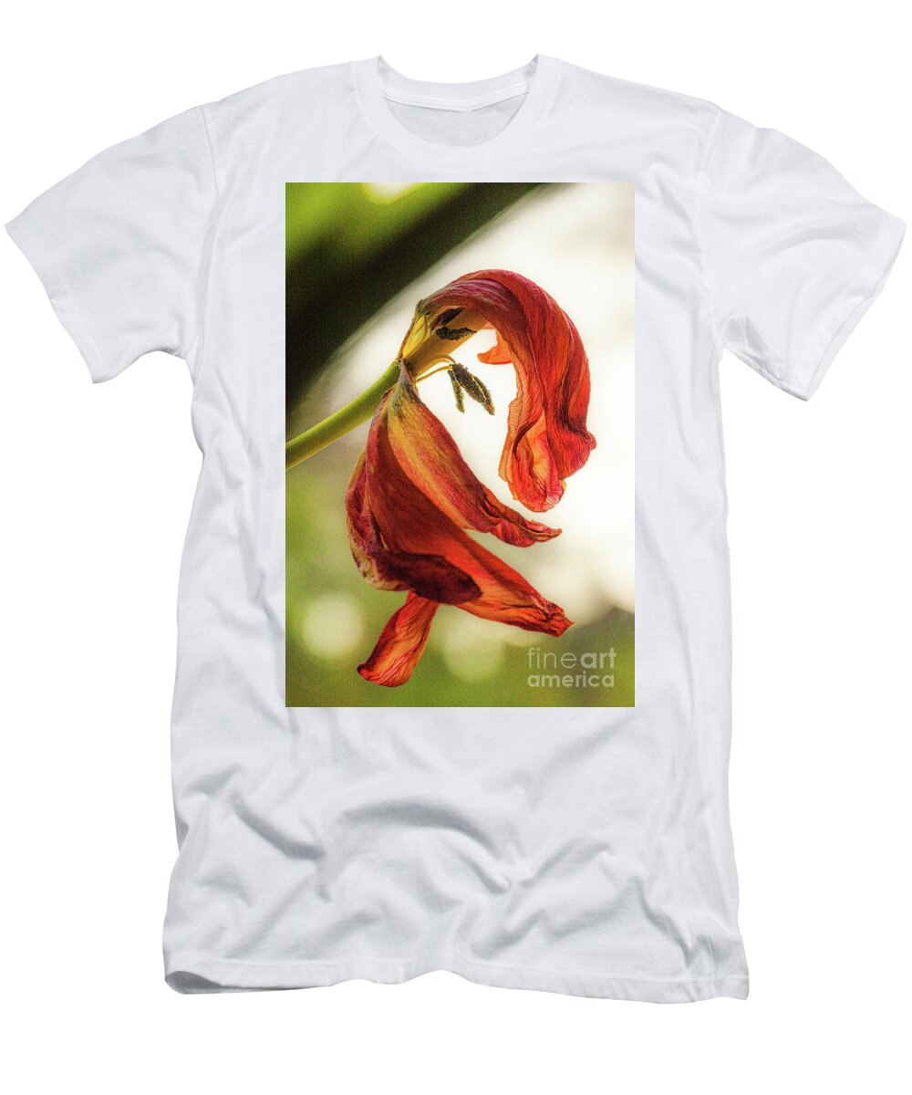 Bloem T-Shirt featuring the photograph A tulip's last bow by Casper Cammeraat