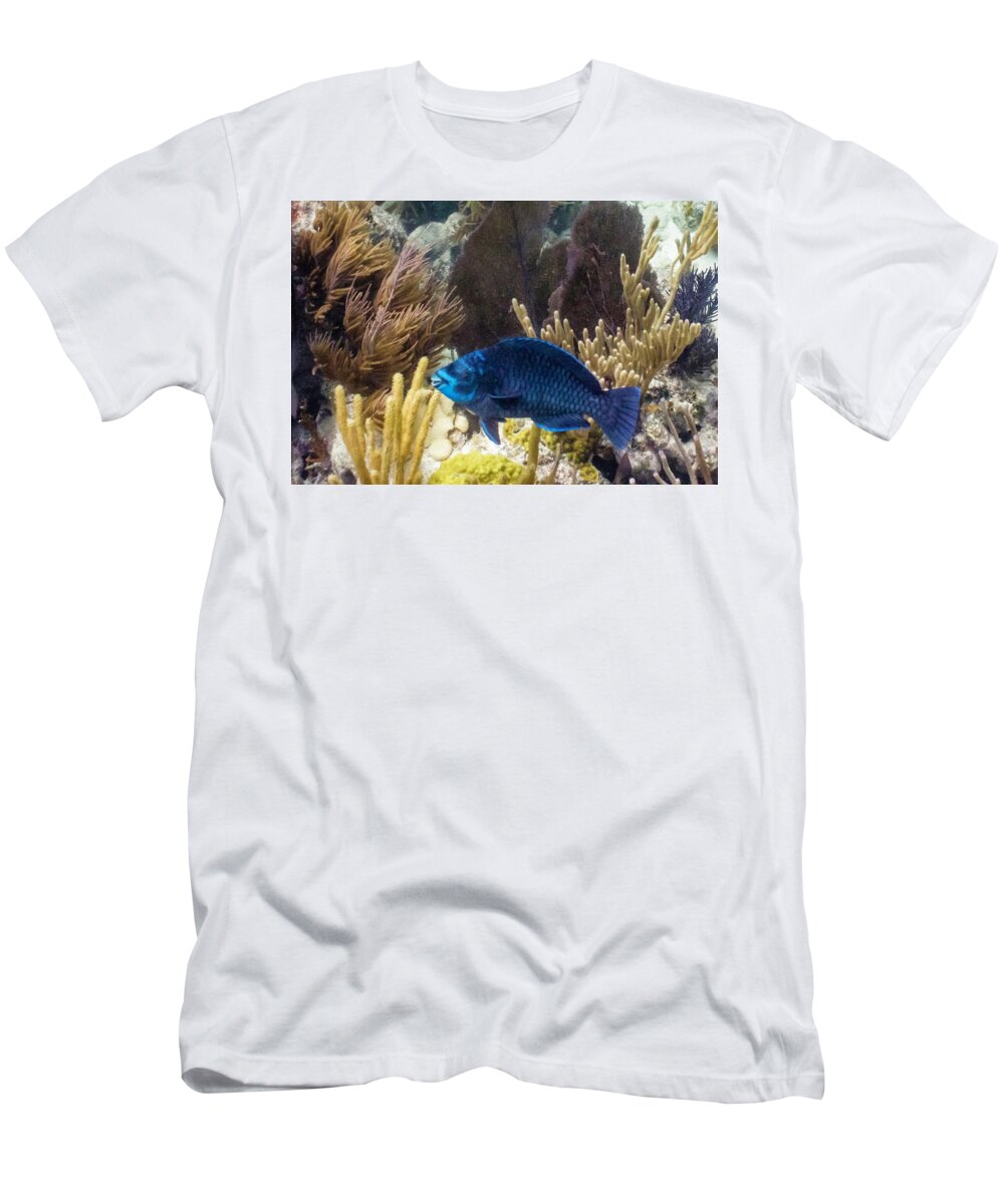 Animals T-Shirt featuring the photograph After Midnight by Lynne Browne