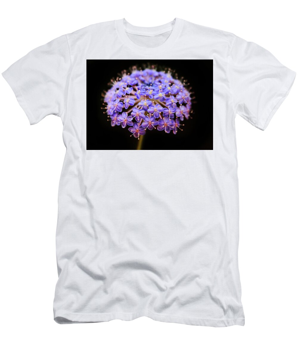 Flower T-Shirt featuring the photograph Allium Floral by Jessica Jenney