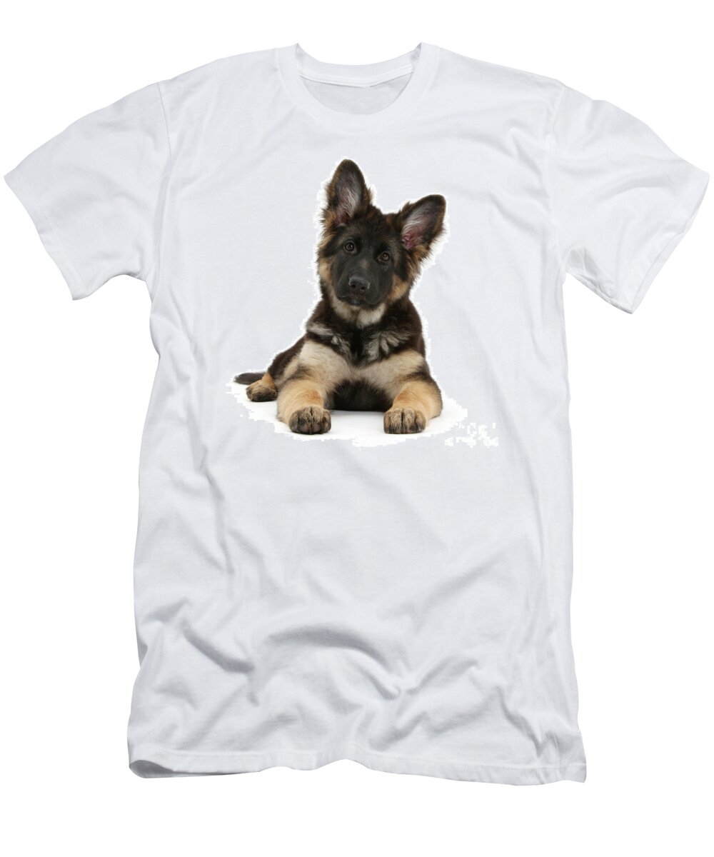 German Shepherd Dog T-Shirt featuring the photograph Alsatian pup by Warren Photographic