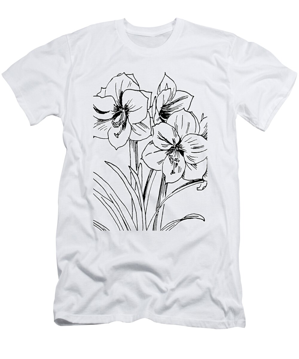 Amaryllis T-Shirt featuring the drawing Amaryllis 4 by Masha Batkova