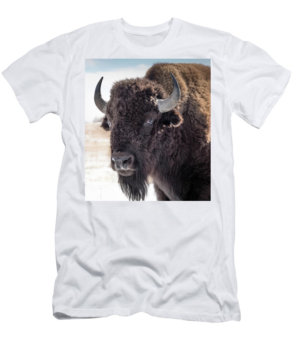 Bison T-Shirt featuring the photograph American Bison by Linda Villers