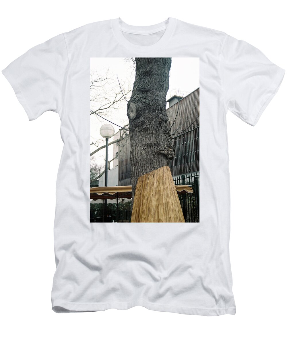 Tree T-Shirt featuring the photograph An almost human tree by Barthelemy De Mazenod