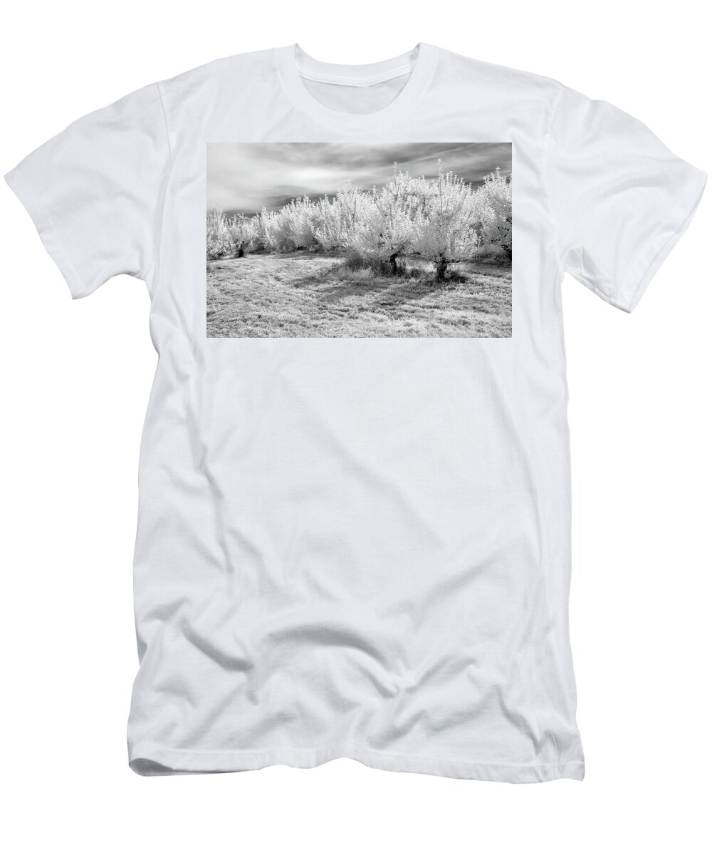 Black & White T-Shirt featuring the photograph Apple Orchard in Infrared by Anthony Sacco