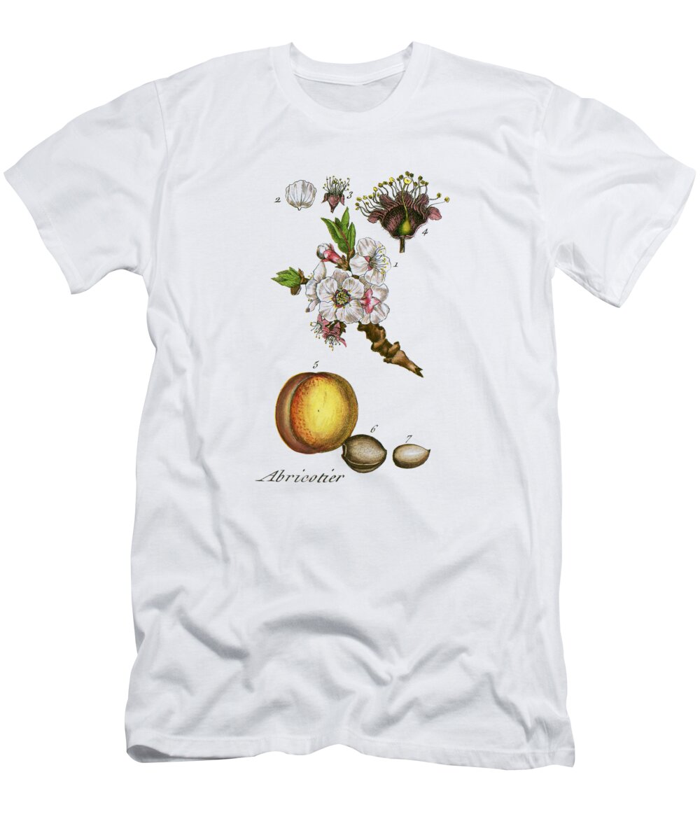 Apricot T-Shirt featuring the digital art Apricot by Madame Memento