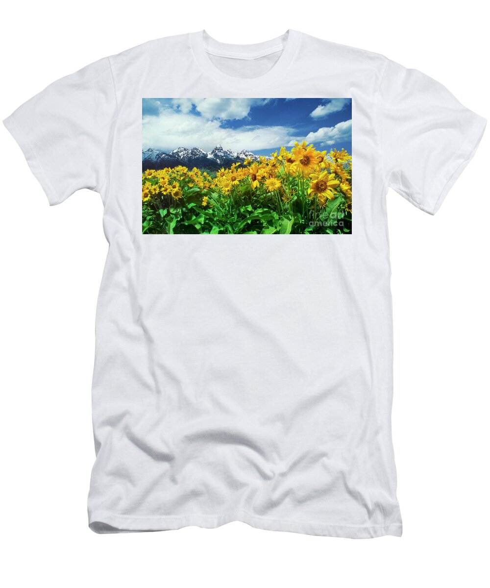 Dave Welling T-Shirt featuring the photograph Arrowleaf Balsamroot Grand Tetons National Park Wyoming by Dave Welling