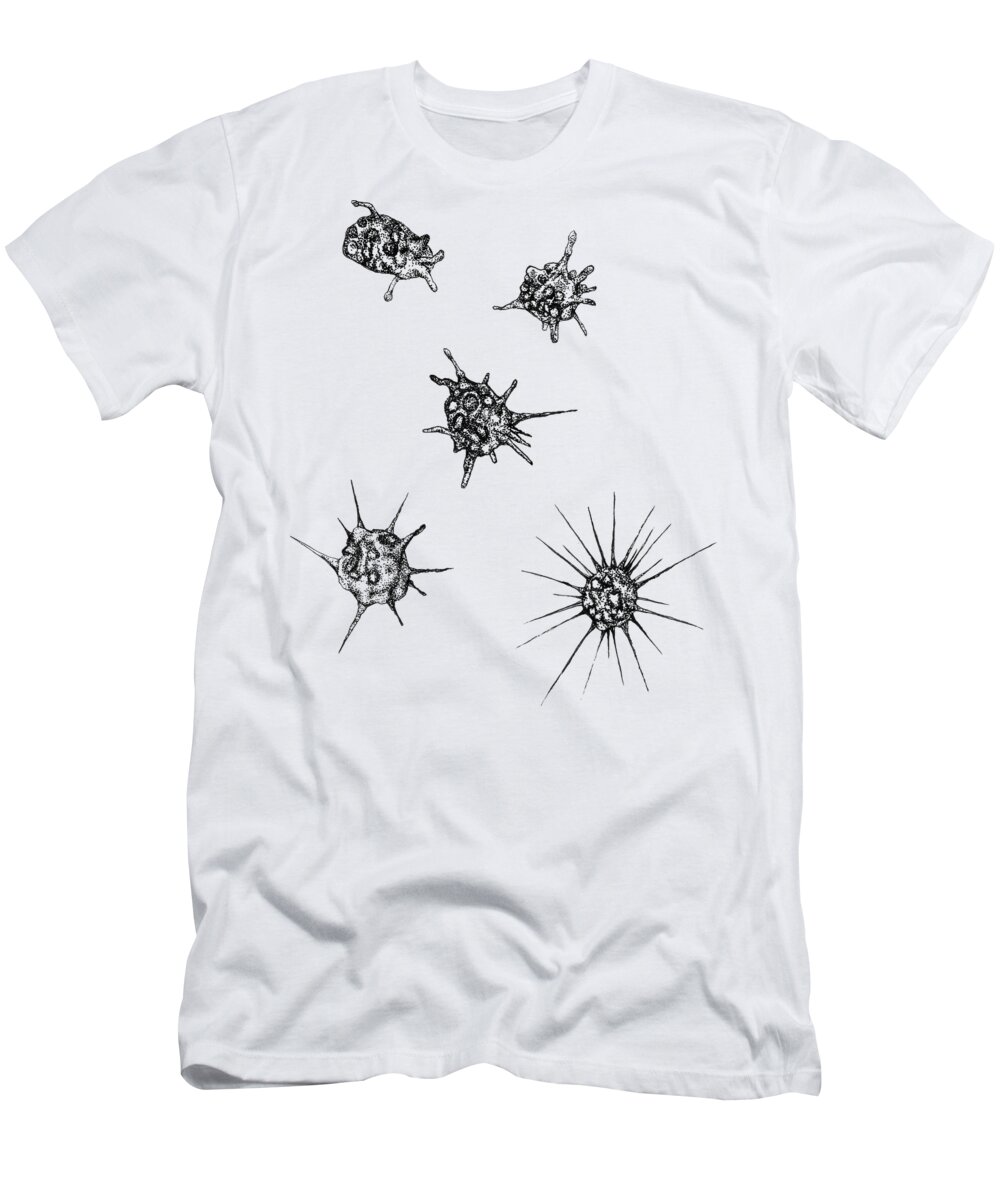 Heliozoa T-Shirt featuring the drawing Heliozoan shapeshift by Katelyn Solbakk
