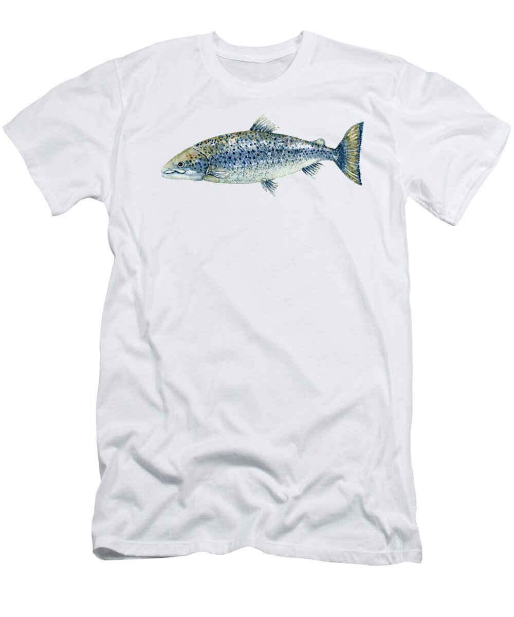 https://render.fineartamerica.com/images/rendered/default/t-shirt/23/30/images/artworkimages/medium/3/atlantic-salmon-fish-watercolor-frits-ahlefeldt-laurvig-transparent.png?targetx=0&targety=0&imagewidth=430&imageheight=193&modelwidth=430&modelheight=575