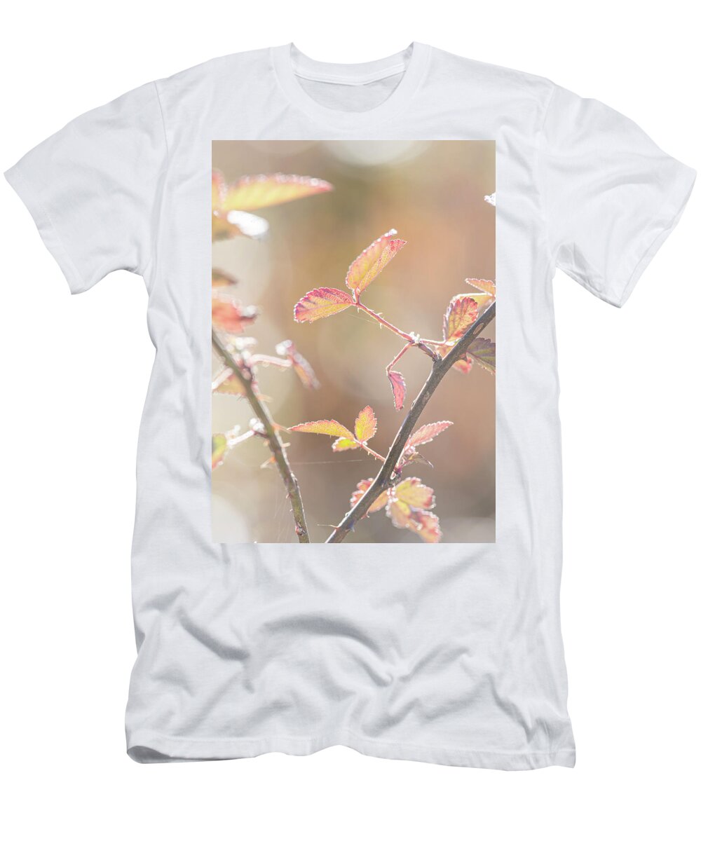 Bramble T-Shirt featuring the photograph Autumn Bramble Leaves by Karen Rispin