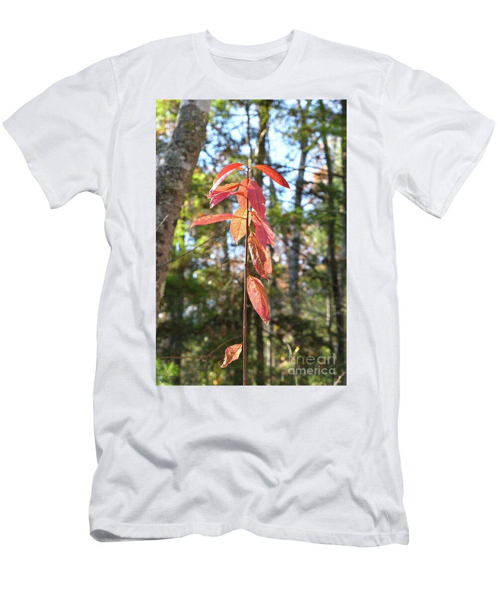 Tennessee T-Shirt featuring the photograph Autumn Foliage by Phil Perkins