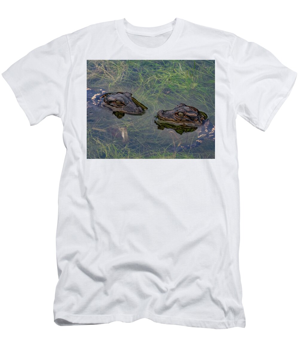 Aligator T-Shirt featuring the photograph Baby Aligatots by Larry Marshall