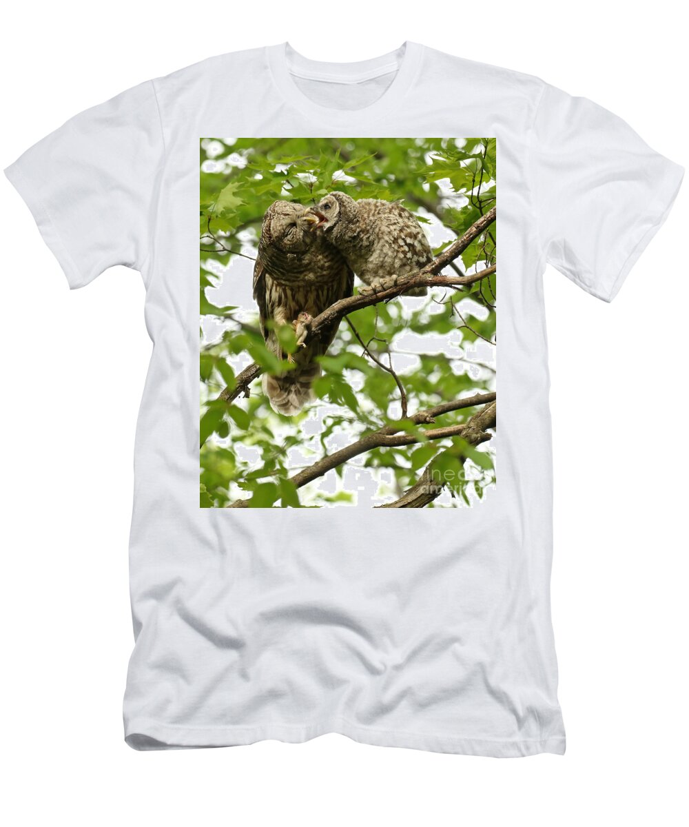 Barred Owl T-Shirt featuring the photograph Baby barred and mom by Heather King