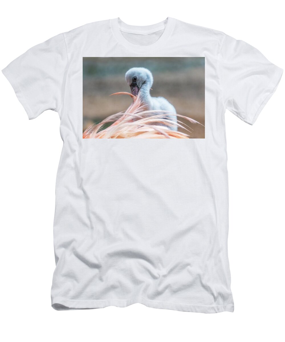 Aiken Sc T-Shirt featuring the photograph Baby Flamingo 14 Days Old 5 by Steve Rich