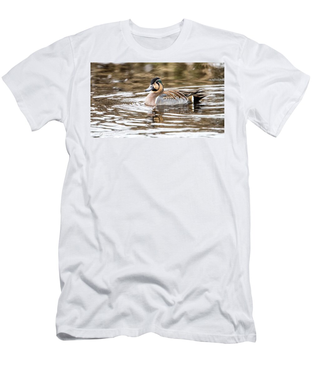 Baikal Teal T-Shirt featuring the photograph Baikal Teal, a swinning beauty and rare visitor in Sweden by Torbjorn Swenelius