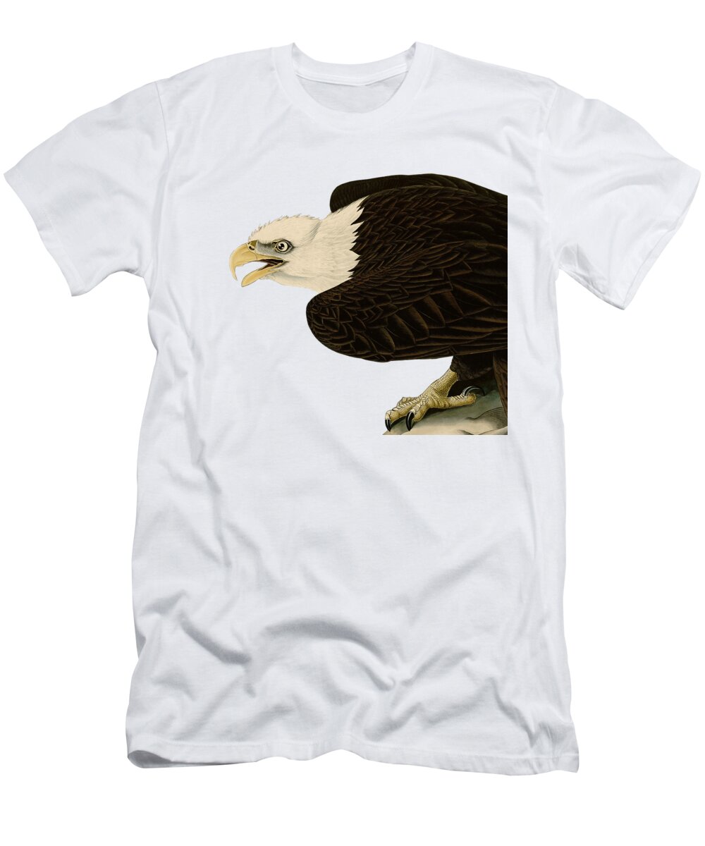 Bald Eagle T-Shirt featuring the drawing Bald eagle bird of prey by Madame Memento