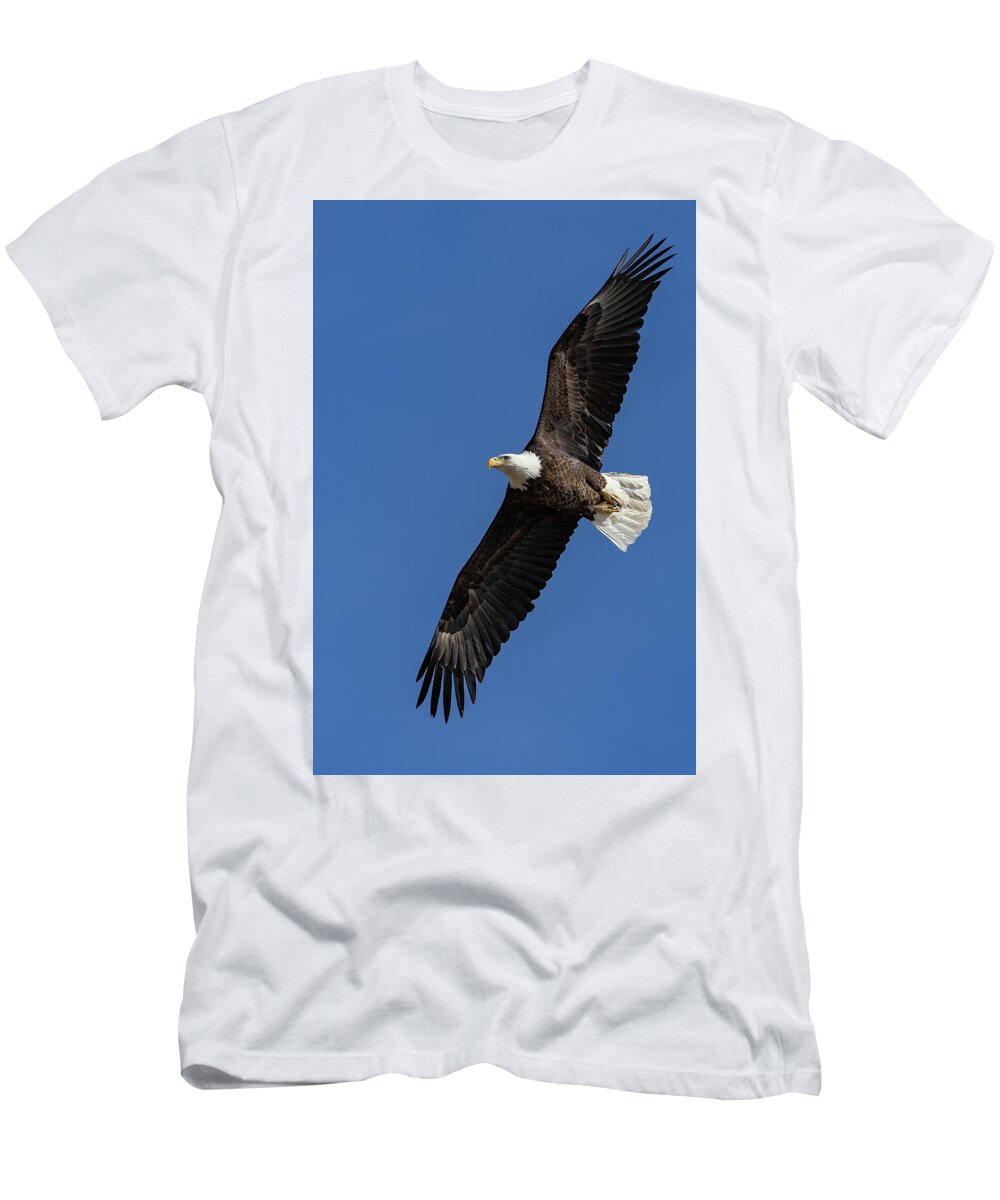 Bald Eagle T-Shirt featuring the photograph Bald Eagle Flyby Portrait by Tony Hake