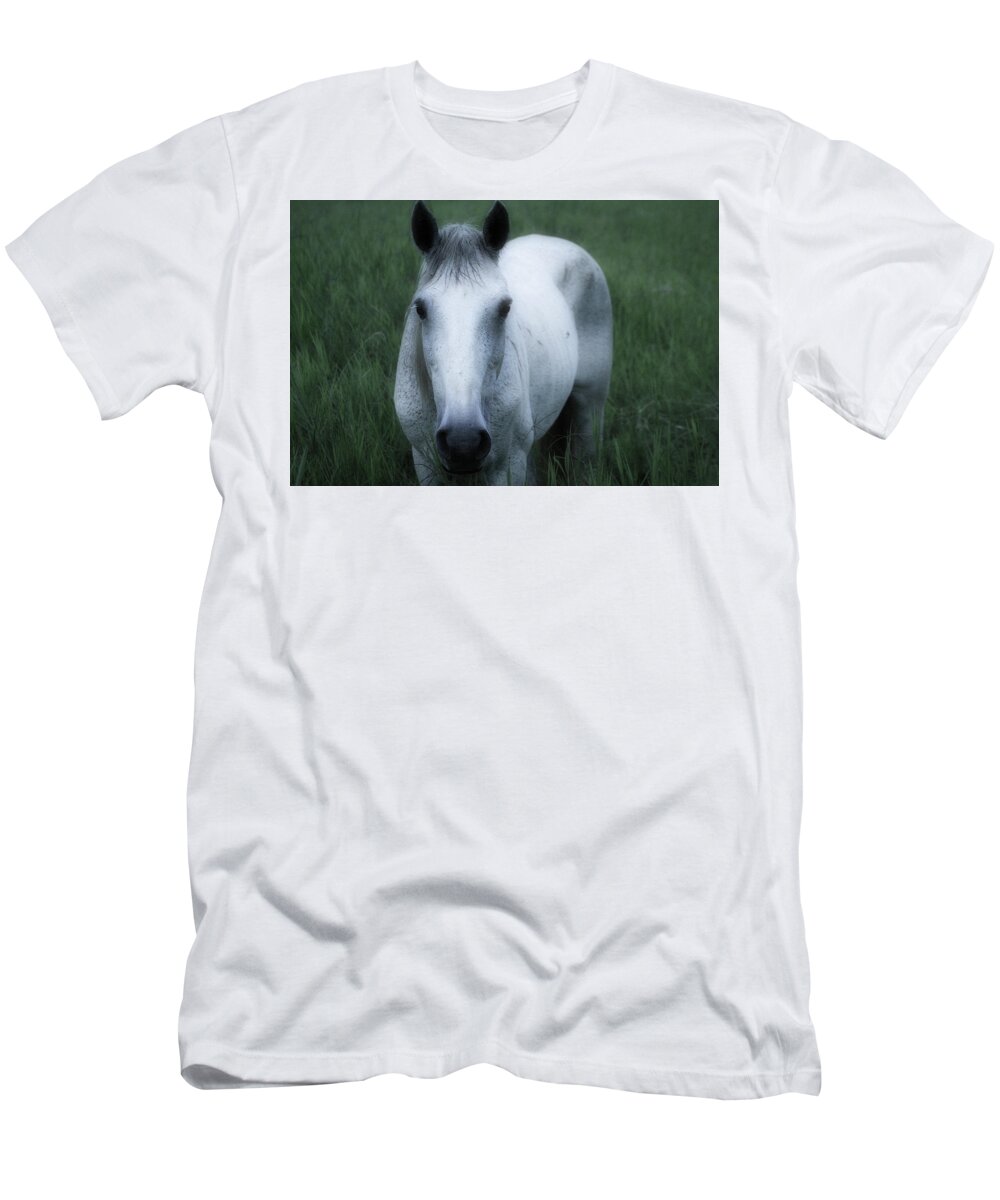 Hacienda Bambusa Horse T-Shirt featuring the photograph Bambusa Horse - Colombia by Gene Taylor