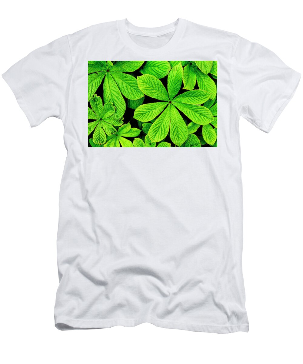 Green T-Shirt featuring the photograph Big green leaves background by Severija Kirilovaite