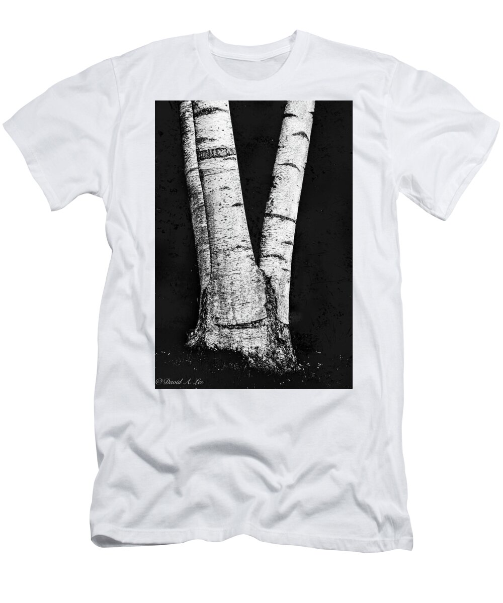 Trees T-Shirt featuring the photograph Birch by David Lee