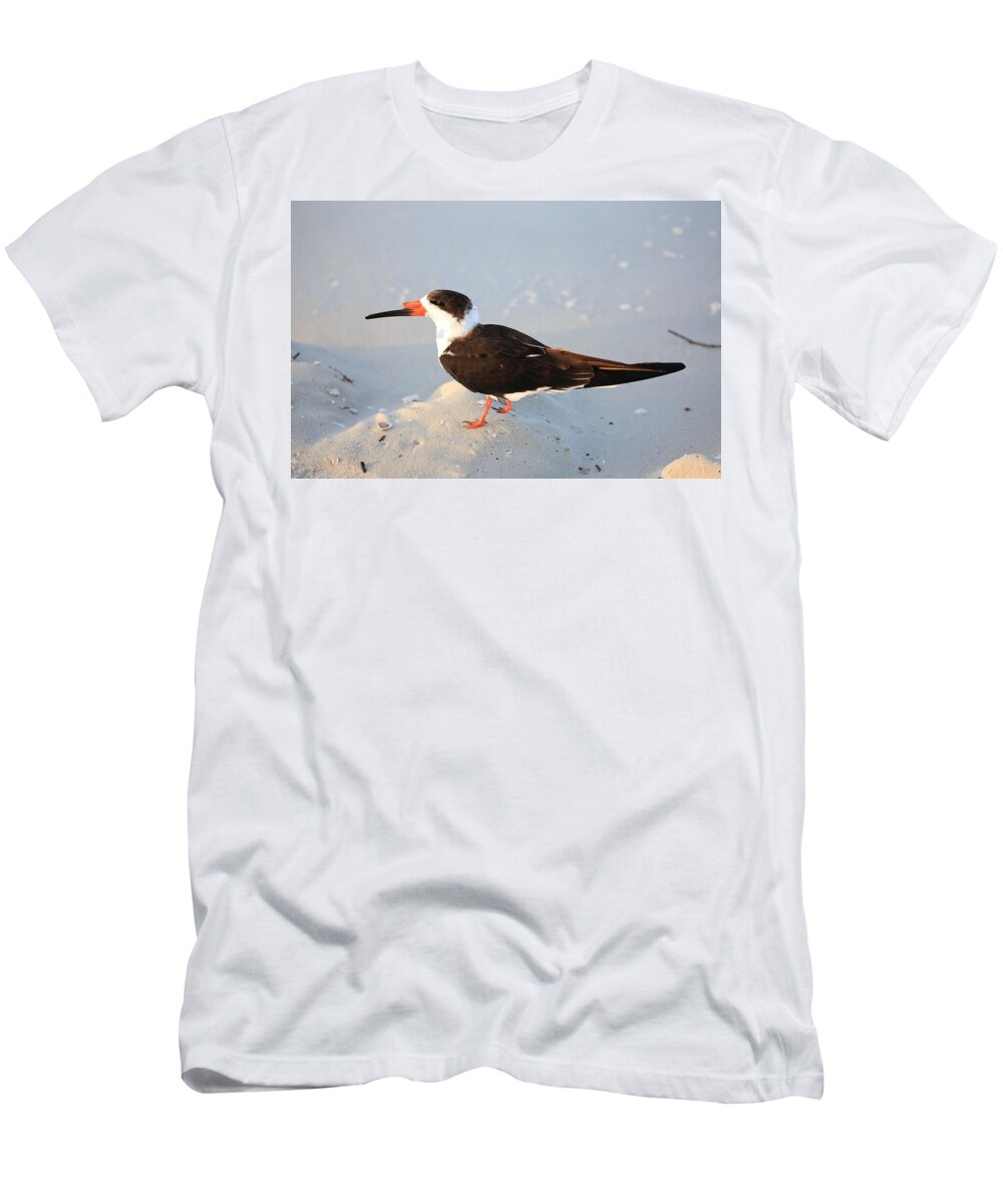 Black Skimmers T-Shirt featuring the photograph Black Skimmer by Mingming Jiang
