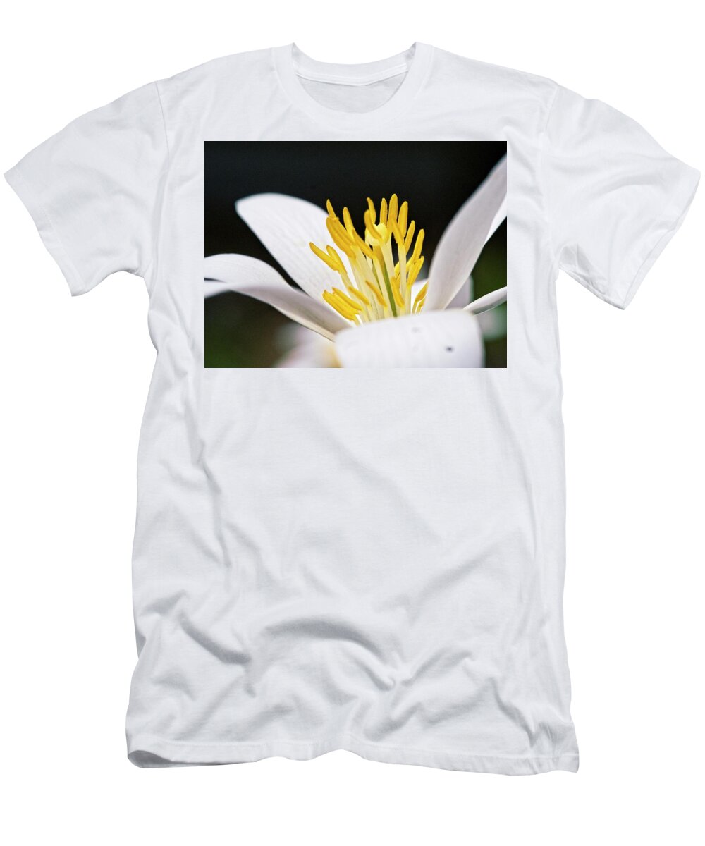 Flowers T-Shirt featuring the photograph Bloodroot 4 by Steven Ralser