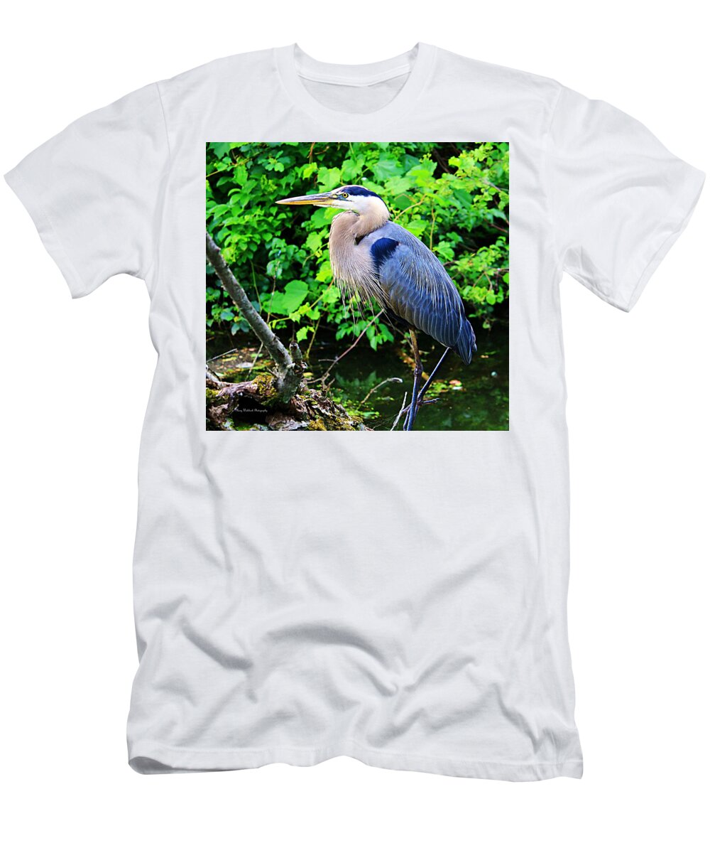 Blue Heron T-Shirt featuring the photograph Blue Heron Portrait by Mary Walchuck