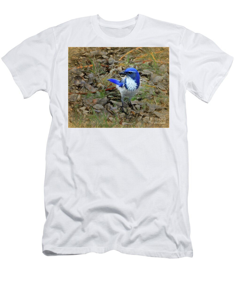  California Scrub-jay T-Shirt featuring the photograph Blue Jay Art by Scott Cameron