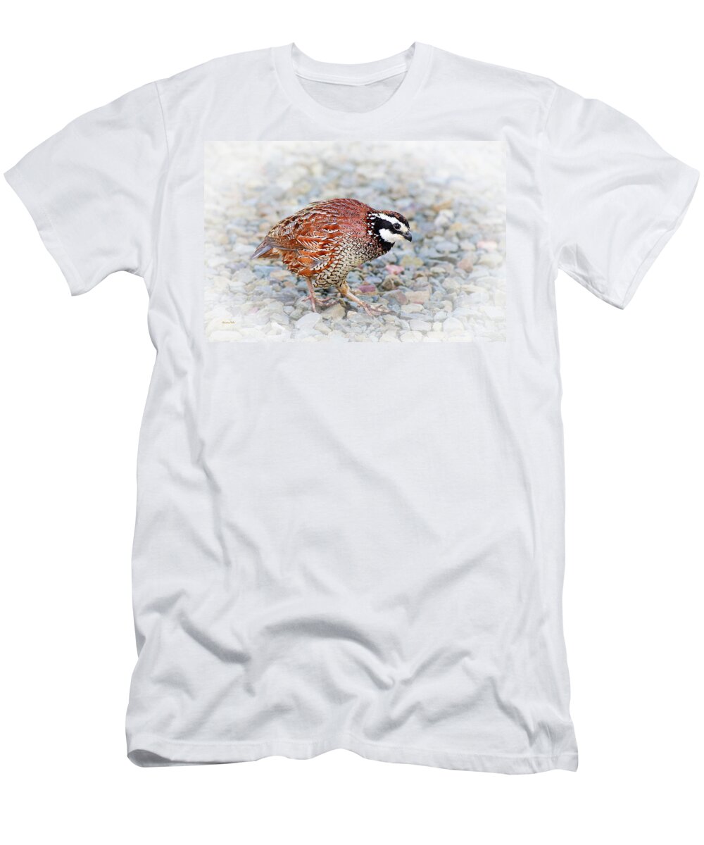 Bird T-Shirt featuring the photograph Bobwhite Quail by Christina Rollo
