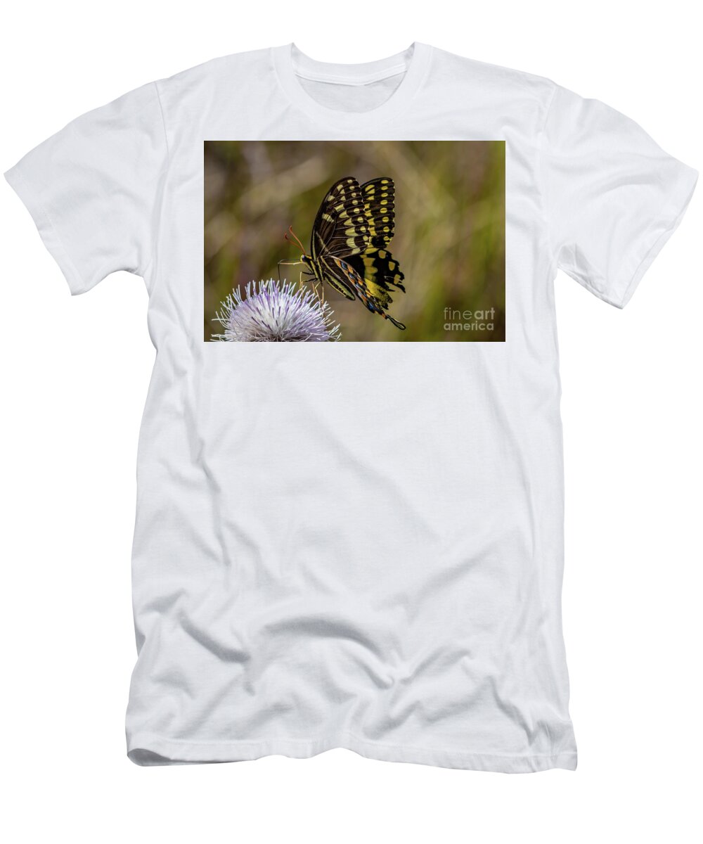 Butterfly T-Shirt featuring the photograph Butterfly on Thistle by Tom Claud