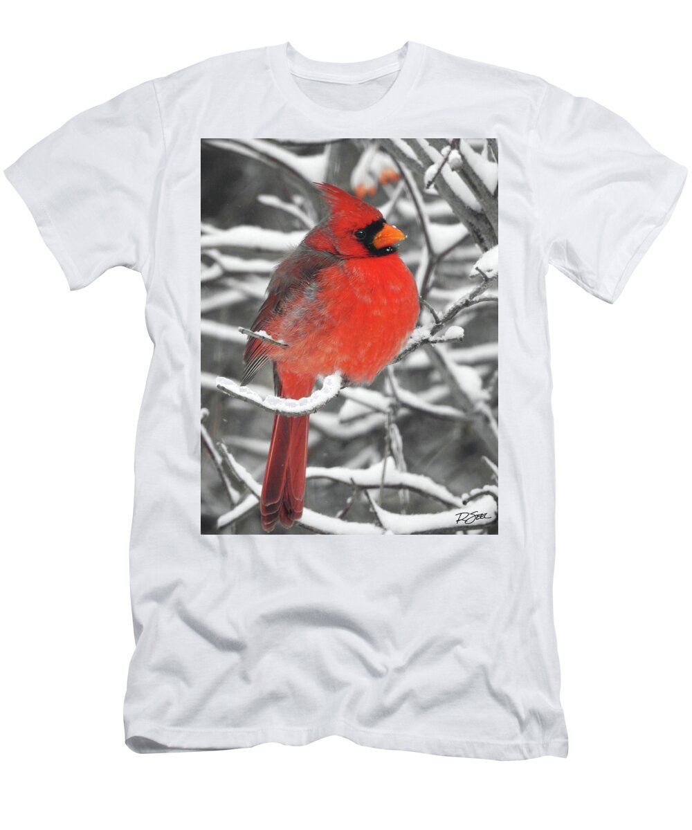 Cardinal T-Shirt featuring the photograph Cardinal in the Snow by Rod Seel