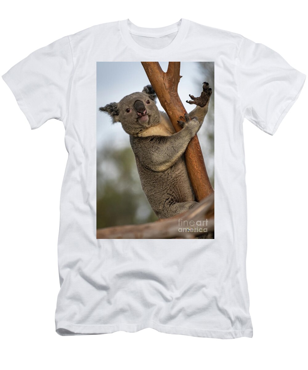 San Diego Zoo T-Shirt featuring the photograph Check My Mighty Claw by David Levin
