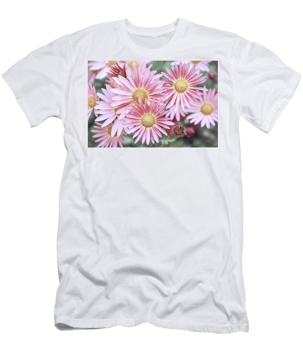 Flowers T-Shirt featuring the photograph Chrysanthemum Flowers by Christina Rollo