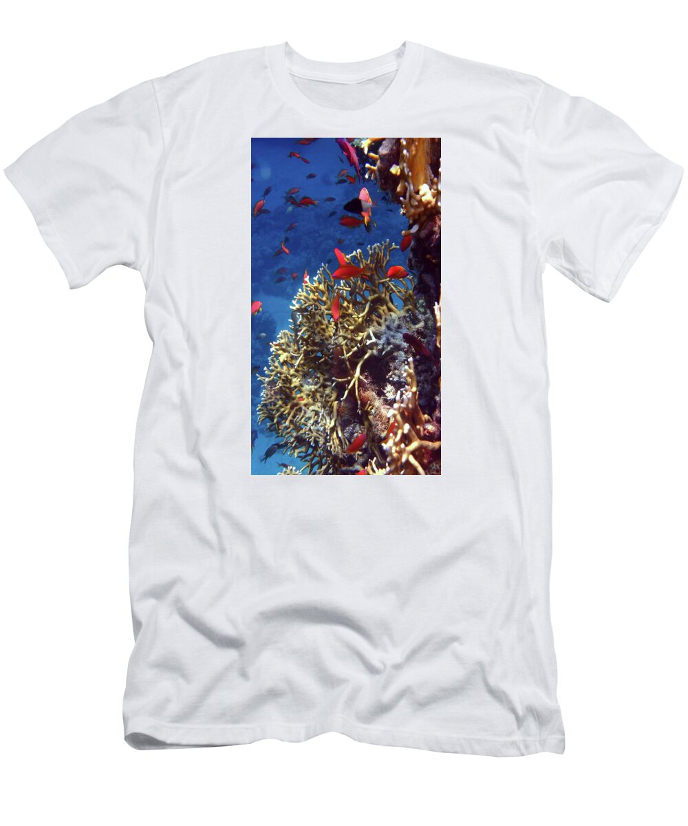 Fish T-Shirt featuring the photograph Close To The Sea Life In The Red Sea by Johanna Hurmerinta