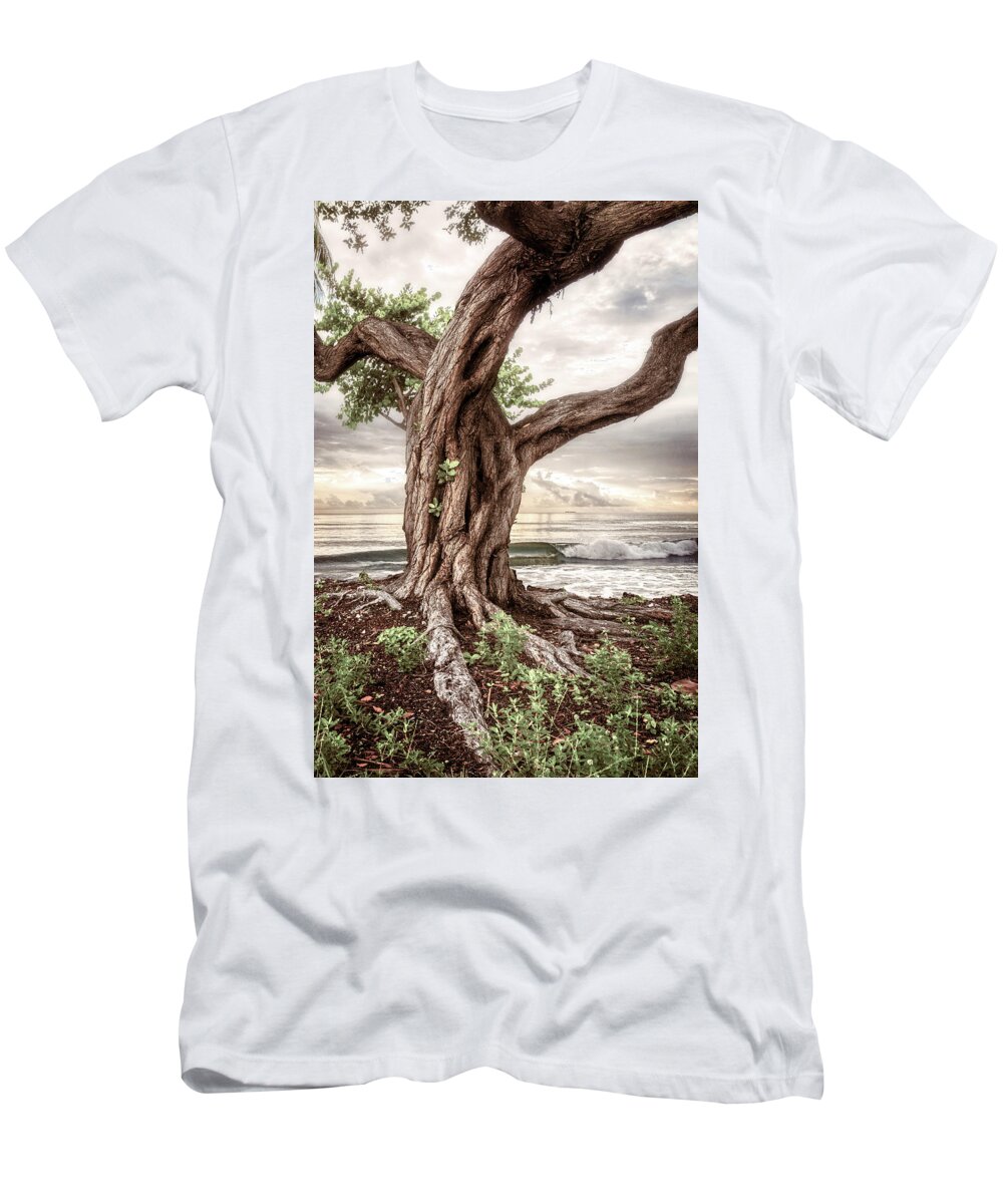 Clouds T-Shirt featuring the photograph Coastal Beach Dreams by Debra and Dave Vanderlaan