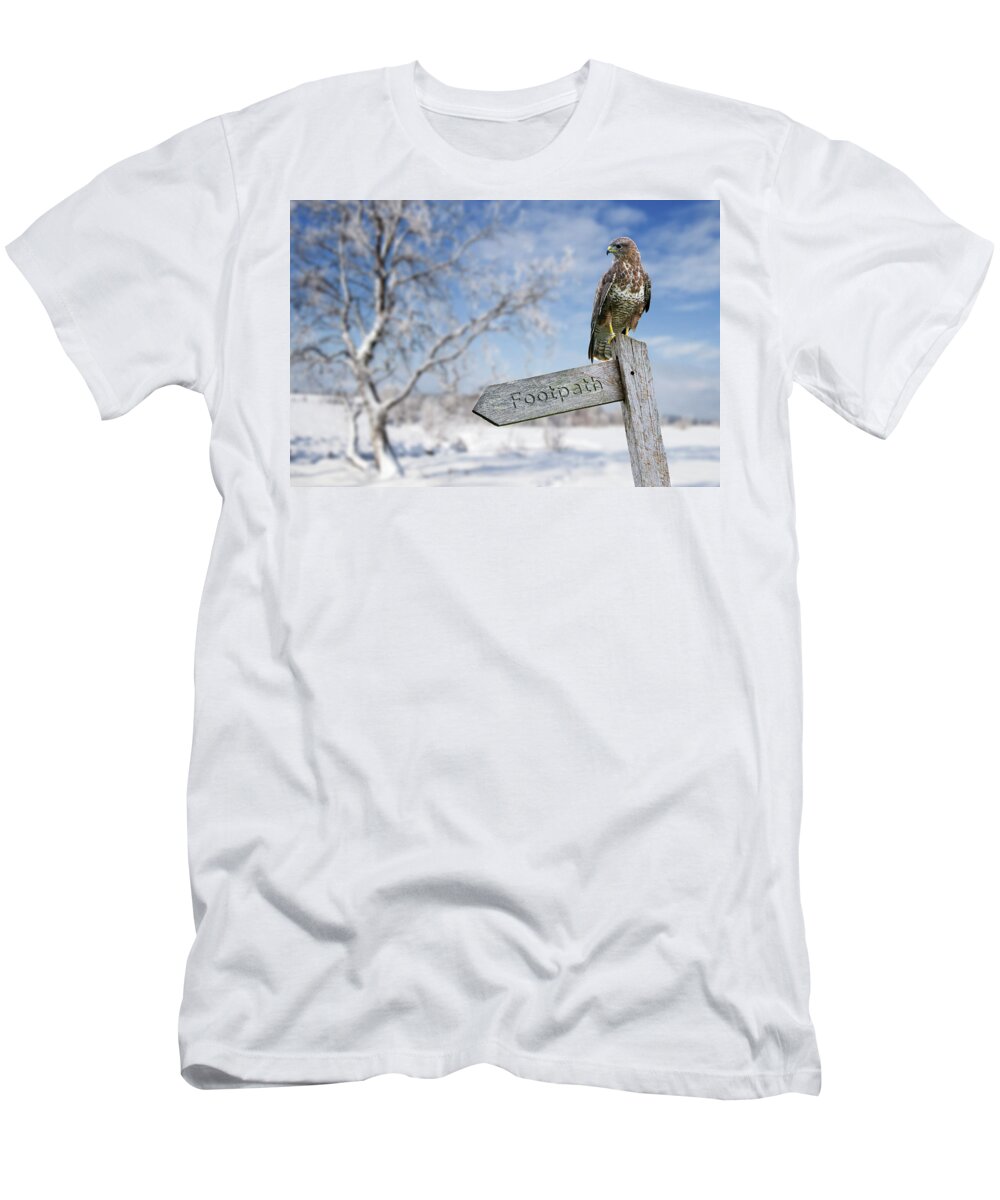 Common Buzzard T-Shirt featuring the photograph Common Buzzard Perched in Winter by Arterra Picture Library